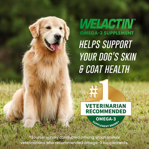 Nutramax Welactin Omega-3 Fish Oil Supplement for Dogs, Softgel Caps, 120ct