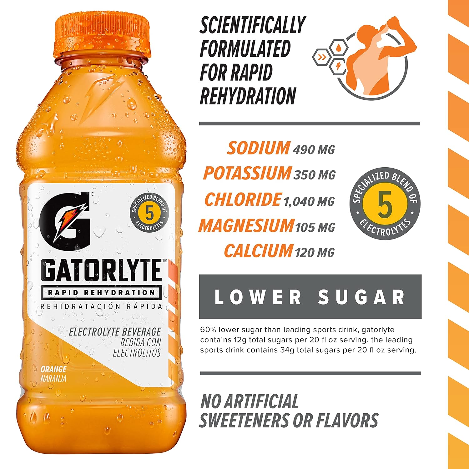 Gatorlyte Rapid Rehydration Electrolyte Drink, 3 Flavor Variety Pack, 20 fl oz Bottles (12 Pack), Specialized Blend of 5 Electrolytes, Lower Sugar, No Artificial Sweeteners, No Artificial Flavors, Gatorade, Hydration