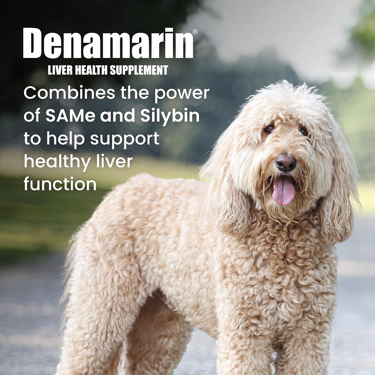 Nutramax Denamarin Liver Supplement for Large Dogs, Tablets, 30ct