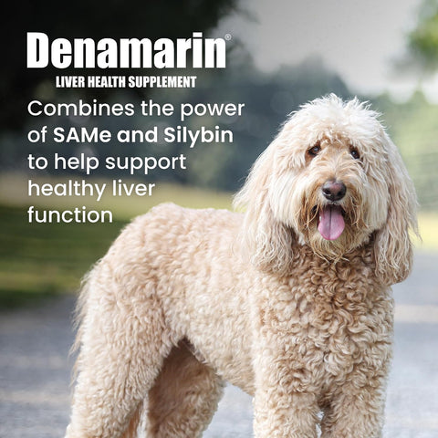 Nutramax Denamarin Liver Supplement for Large Dogs, Tablets, 30ct