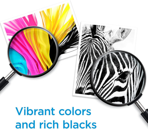 HP 910XL Black High-Yield Ink Cartridge | Works with OfficeJet 8010, 8020 Series, OfficeJet Pro 8020, 8030 Series | Eligible for Instant Ink | 3YL65AN