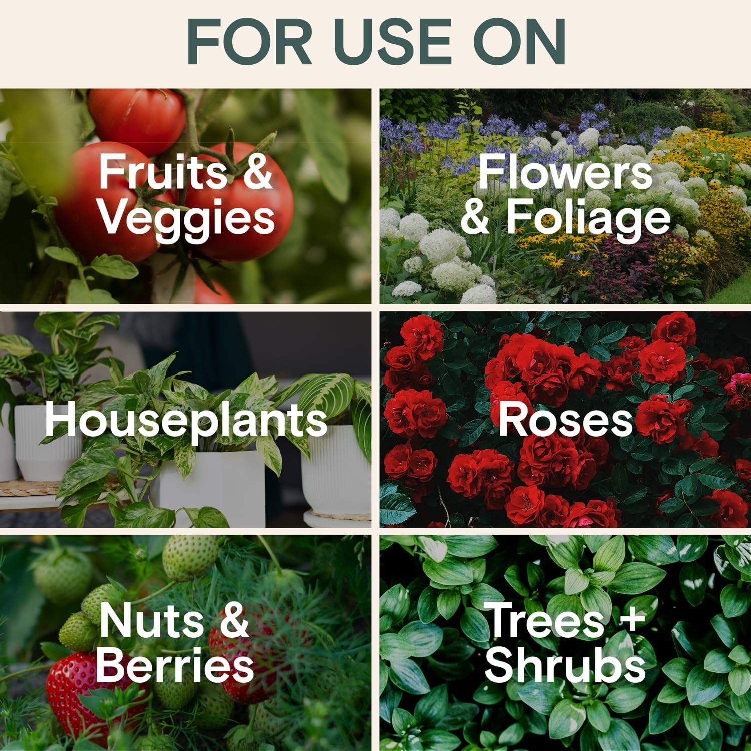 Arber Organic Insecticide & Fungicide for Plants - Indoor/Outdoor, 16oz