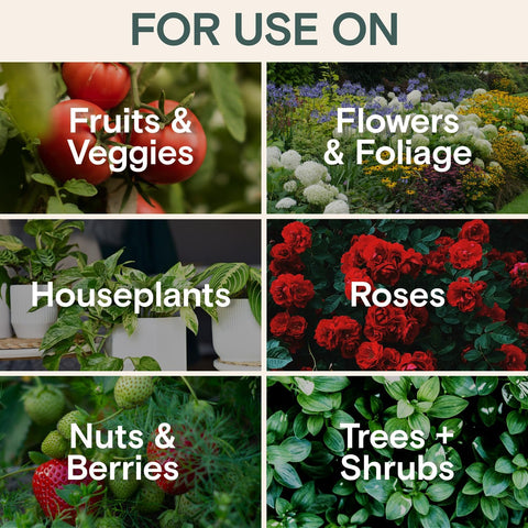 Arber Organic Insecticide & Fungicide for Plants - Indoor/Outdoor, 16oz
