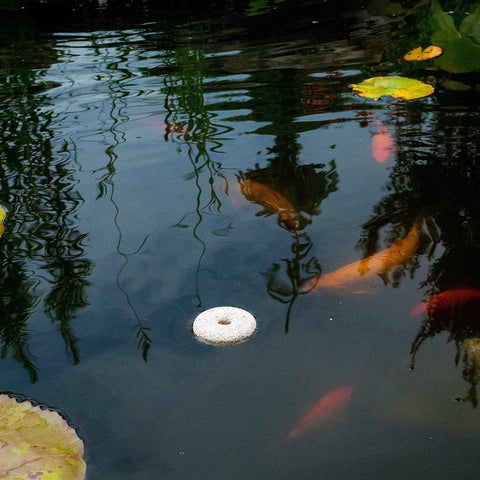 Summit Chemical Company Pond Mosquito Dunks - 2 Pack