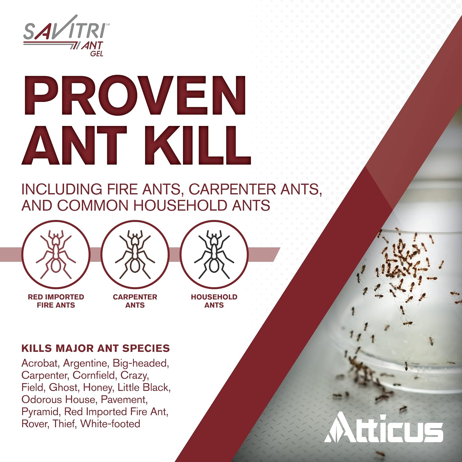 Atticus Savitri Ant Gel Bait (4 x 30 Grams) - Indoor and Outdoor Ant Killer