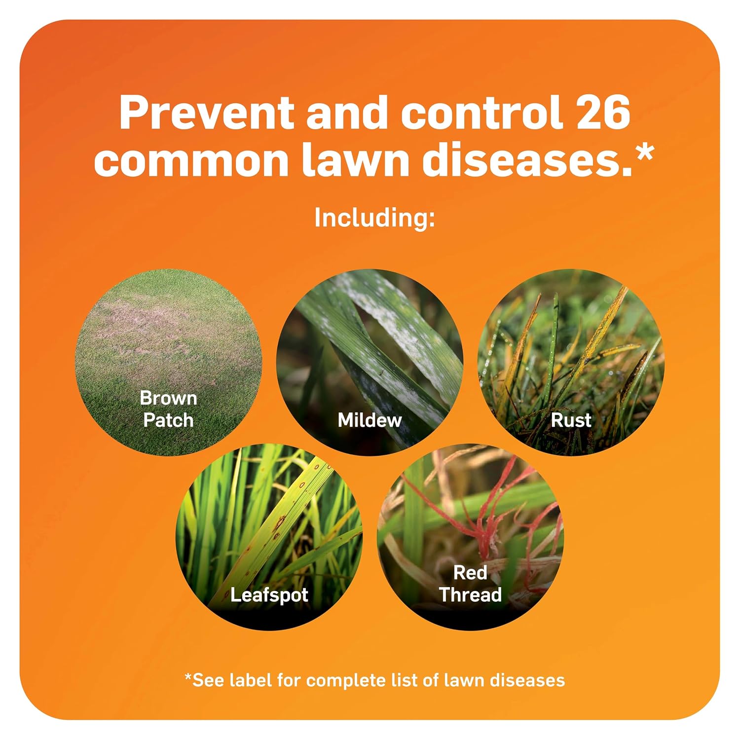 Scotts DiseaseEx Lawn Fungicide, 10 lbs. (2-Pack)