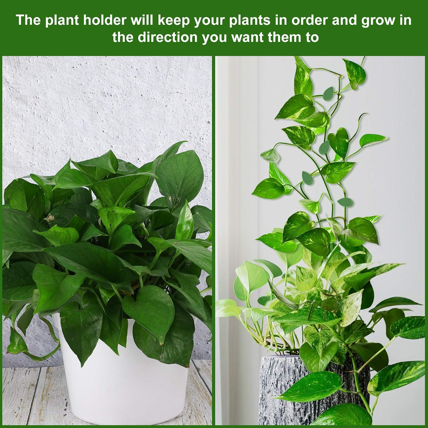 Geiserailie 60 Plant Climbing Clips Wall Fixture with 72 Stickers for Vine