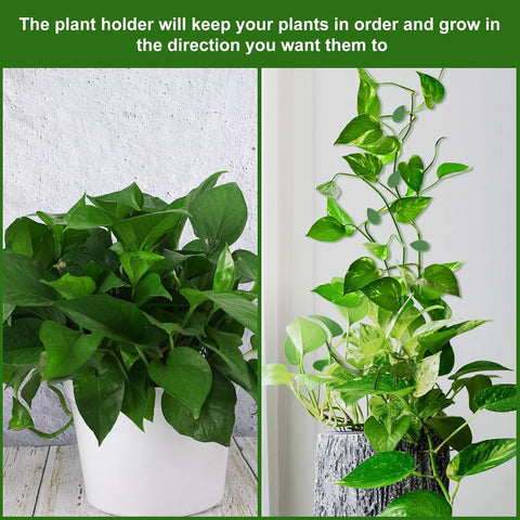 Geiserailie 60 Plant Climbing Clips Wall Fixture with 72 Stickers for Vine