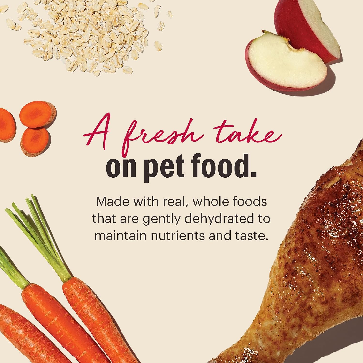 The Honest Kitchen Wholemade Whole Grain Turkey Recipe, Human Grade Dehydrated Dog Food, Just Add Water, Supports Digestion, Skin & Coat, Topper for Dry or Wet Dog Food, 10 lb Box Makes 40 lbs