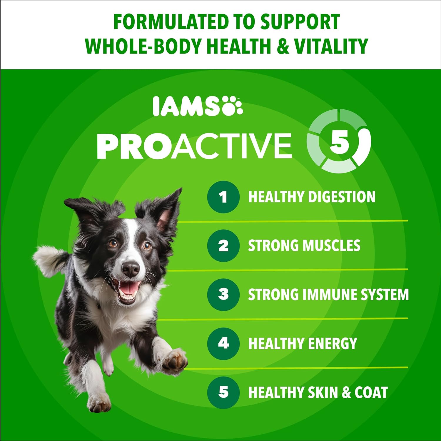IAMS Proactive Health Adult Minichunks Dry Dog Food, Chicken, 30 lb