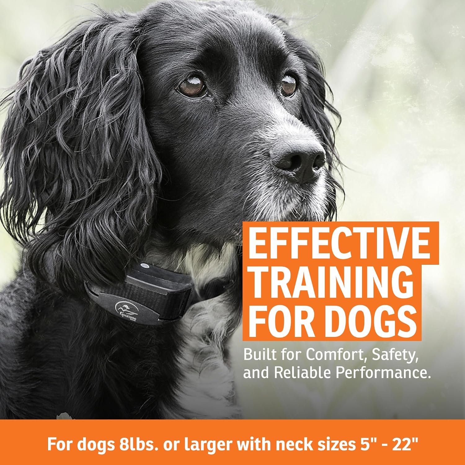 SportDOG YardTrainer 100 Remote Dog Trainer, 100-Yard Range