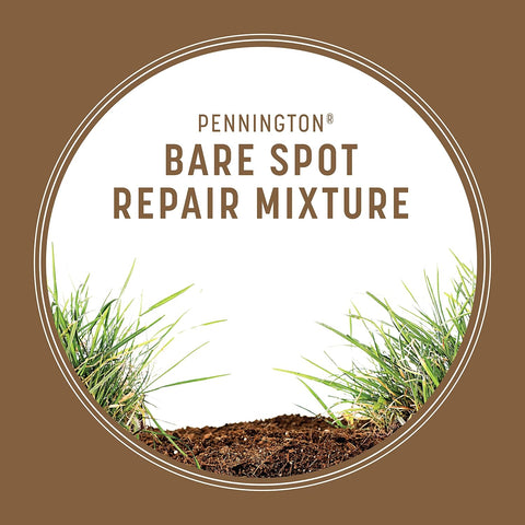 Pennington Bare Spot Repair Mix Central Grass Seeds for Lawn, 1 lb