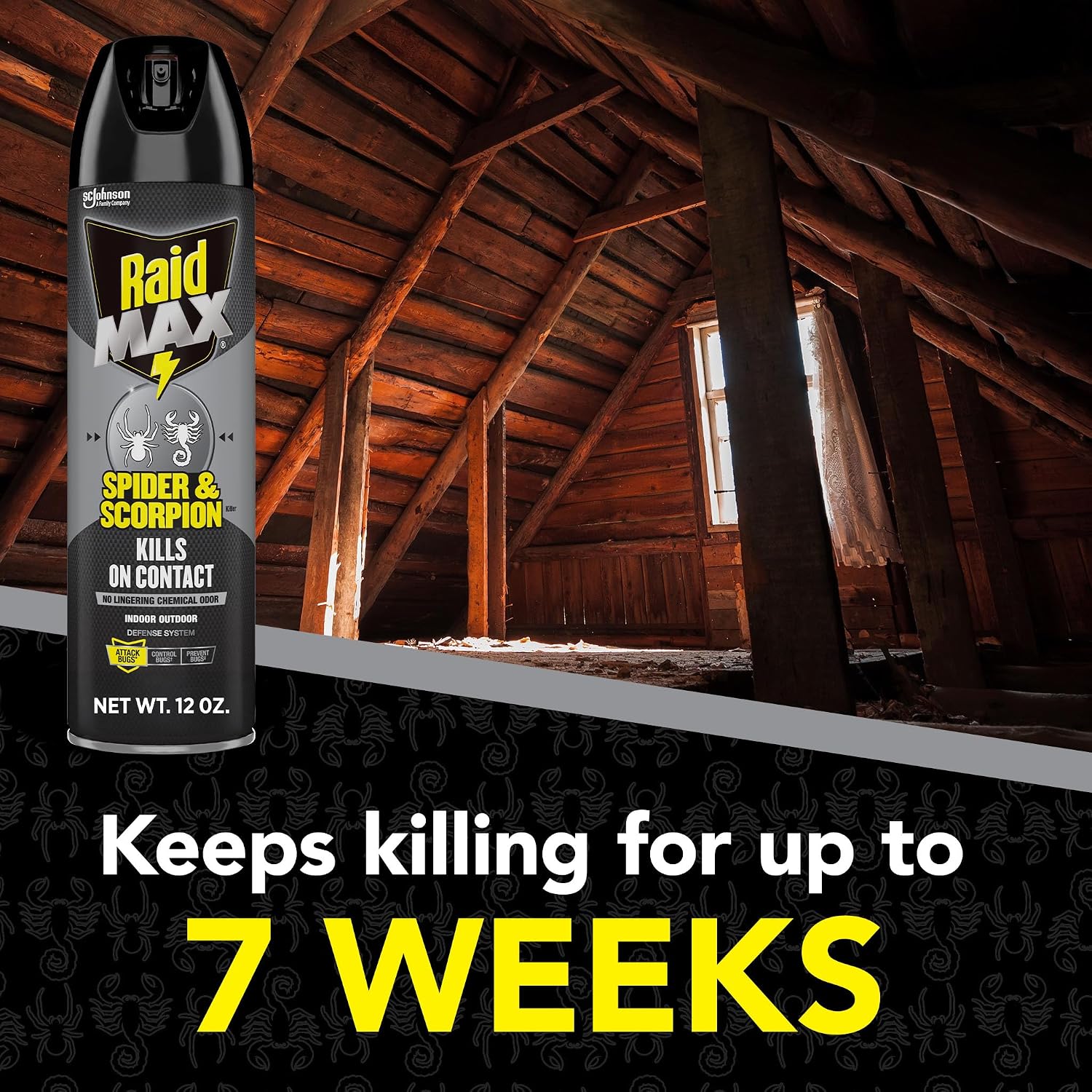 Raid MAX Spider & Scorpion Insect Killer Spray, 12 oz