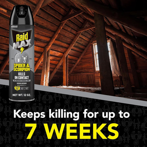 Raid MAX Spider & Scorpion Insect Killer Spray, 12 oz