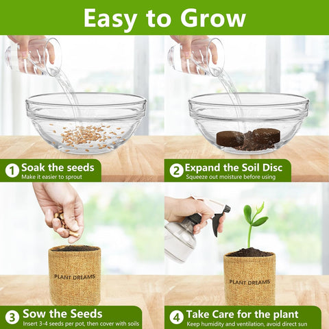 Bonsai Tree Kit, Bonsai Starter Kit with Seeds & Tools, Tree Live Plants Indoor, Gardening Gifts for Women Men Mom Father Plant Lover, Birthday Gifts for Women, Father Day Gifts