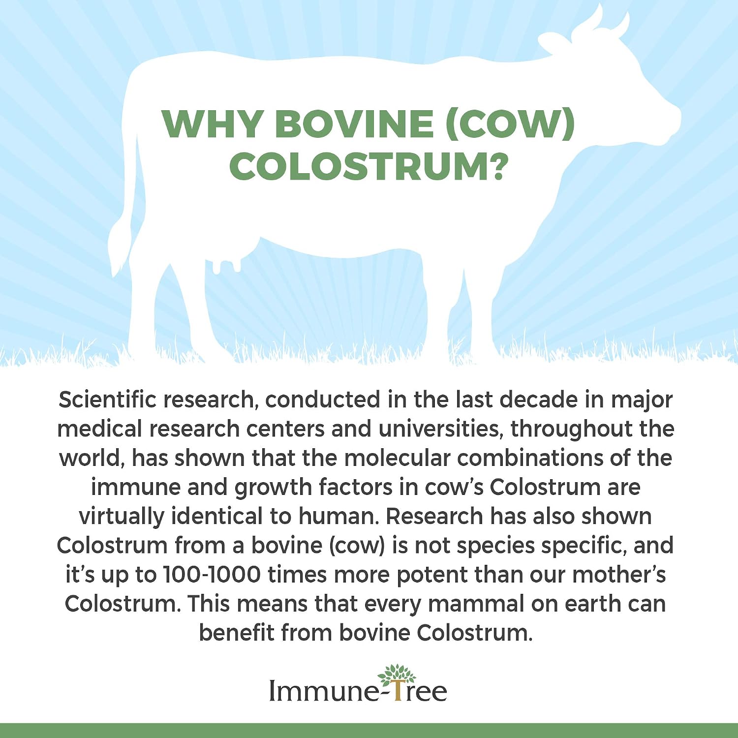 Grass-Fed Bovine Colostrum Powder Supplement, Immune & Gut
