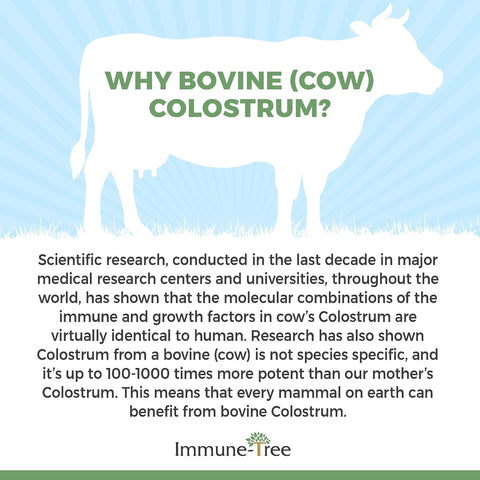 Grass-Fed Bovine Colostrum Powder Supplement, Immune & Gut