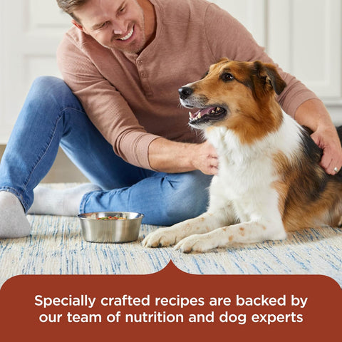 Nutrish Savory Favorites Wet Dog Food Variety Pack, 8 oz Tubs (Rachael Ray)