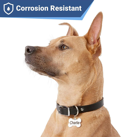 GoTags Stainless Steel Pet ID Tags, Personalized Dog Tags and Cat Tags