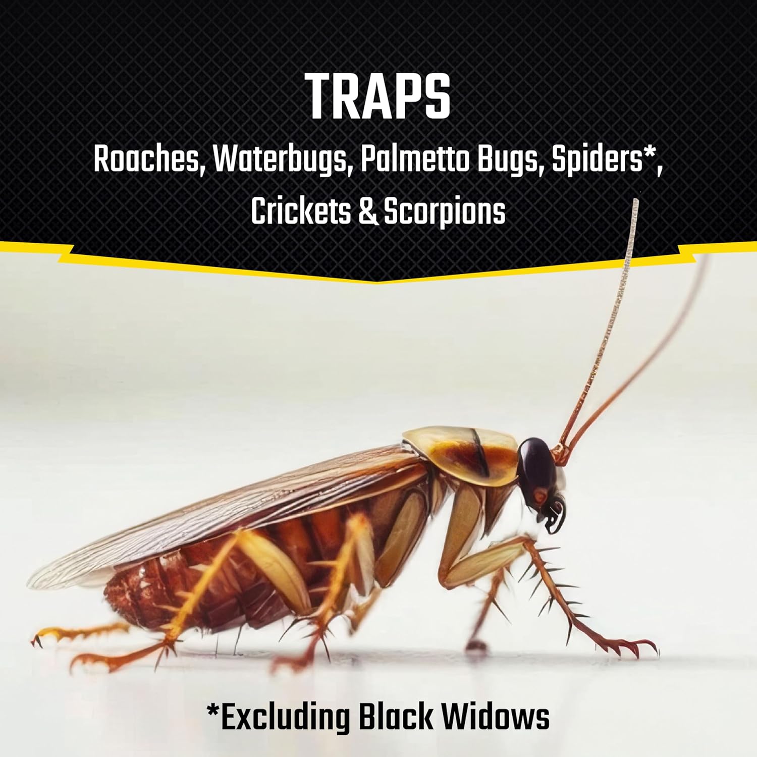 Roach Motel Traps 2 Count, Contains No Pesticides, Hides Dead Bugs, 12 Pack