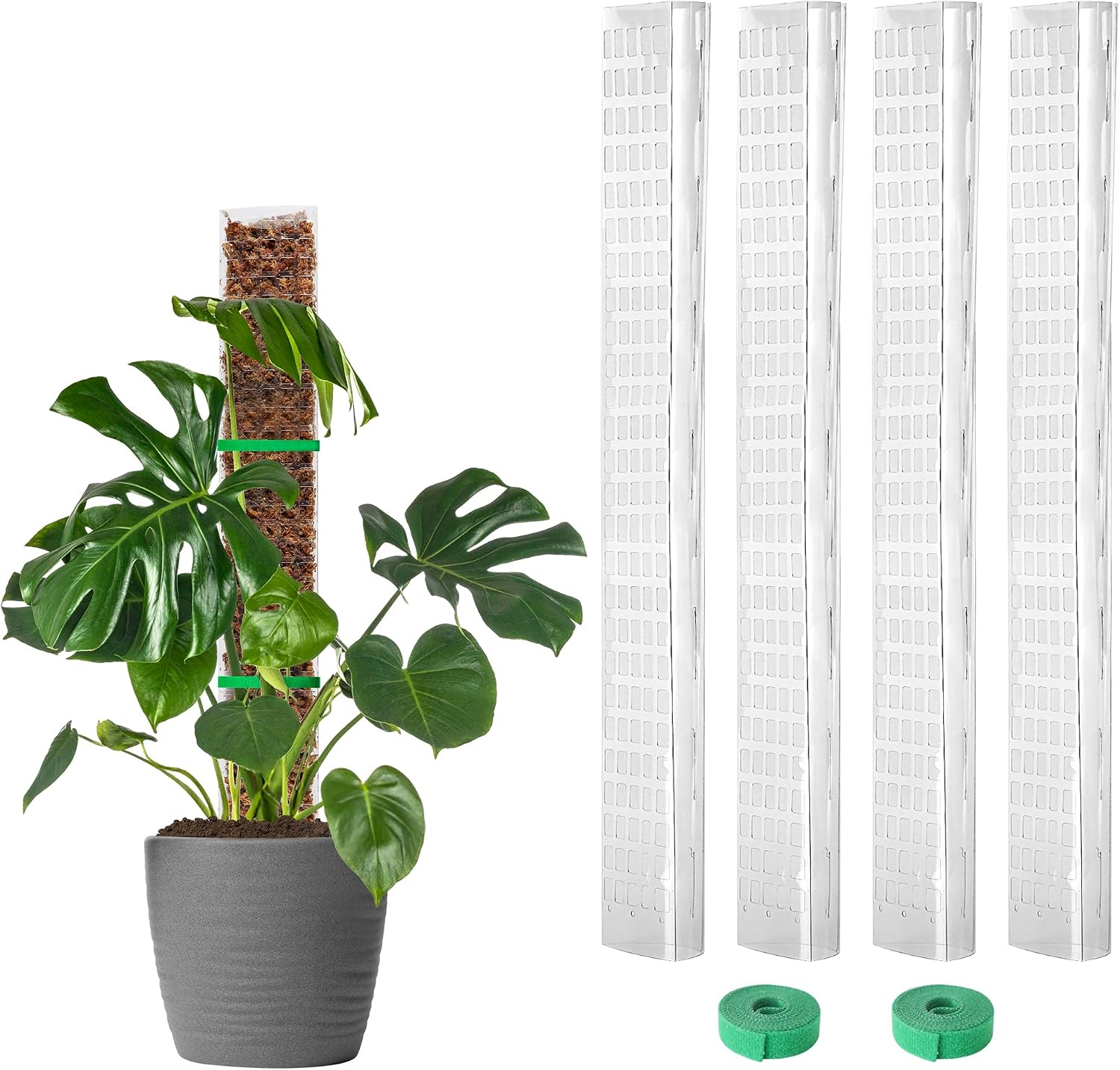 EOX Plastic Moss Pole for Monstera and Climbing Plants, 24-Inch, 4-Pack