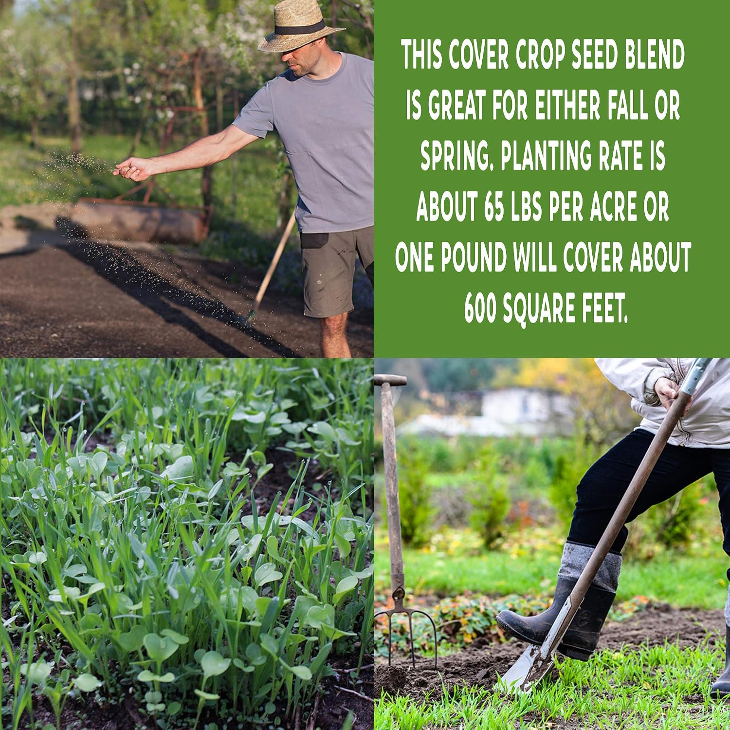 Mountain Valley Seed Co No-Till Farm and Garden Cover Crop Mix Seeds