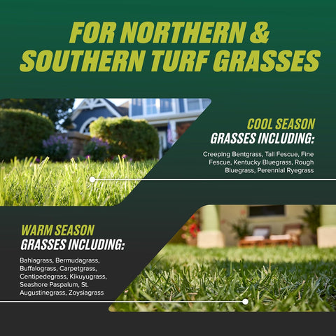 Ortho Nutsedge Killer for Lawns Ready-to-Spray1, 32 fl. oz.