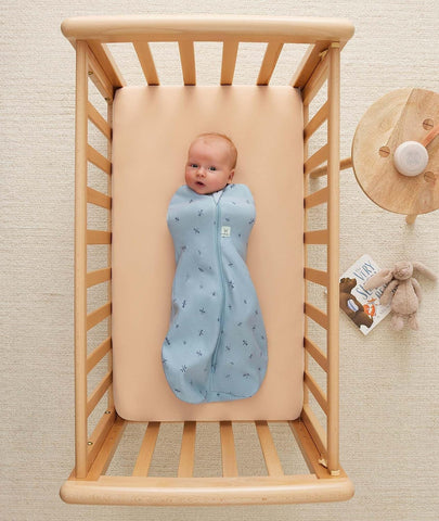 ergoPouch Cocoon Swaddle Sleep Sack, 3-6 Months, 2.5 TOG, Dragonflies