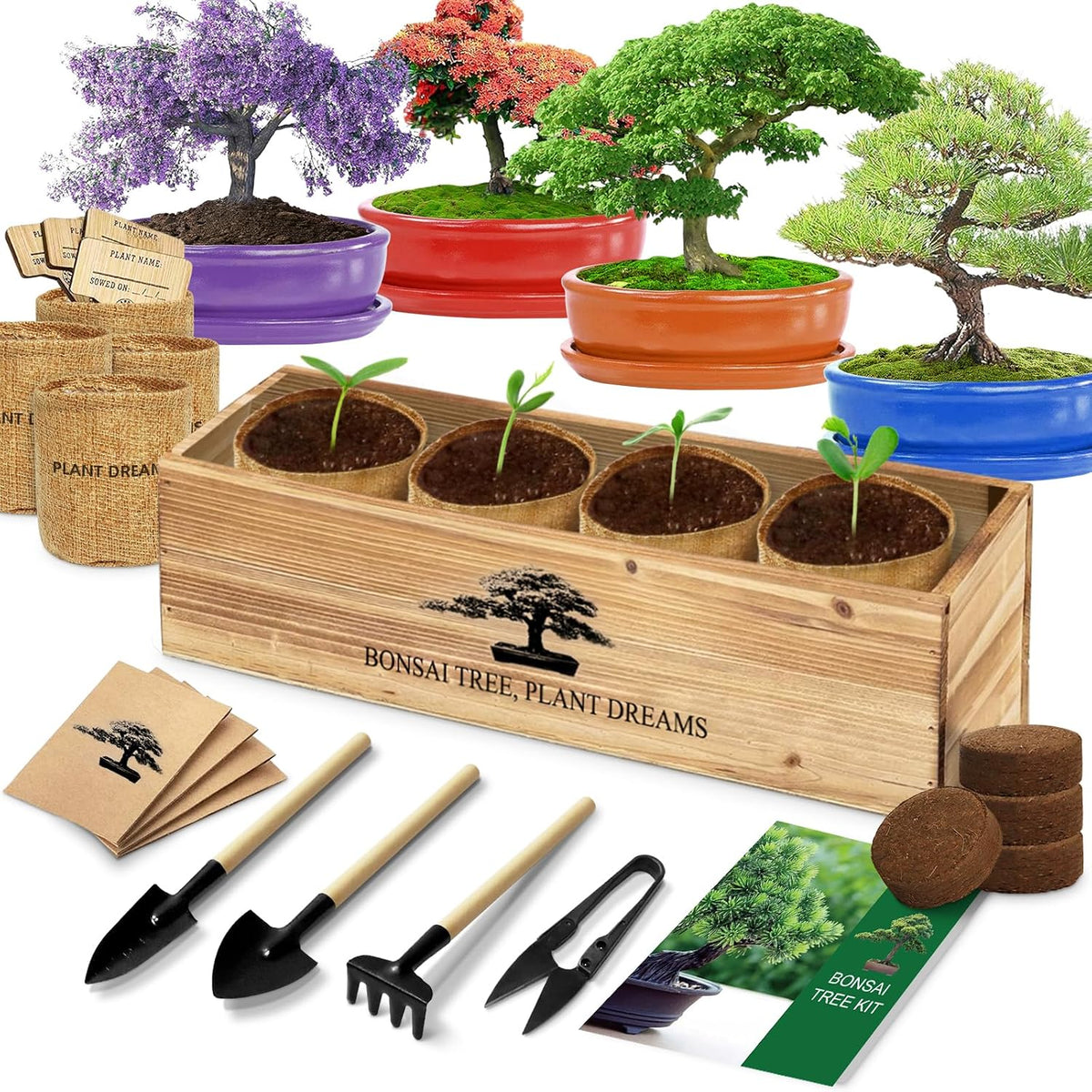 Bonsai Tree Kit, Bonsai Starter Kit with Seeds & Tools, Tree Live Plants Indoor, Gardening Gifts for Women Men Mom Father Plant Lover, Birthday Gifts for Women, Father Day Gifts