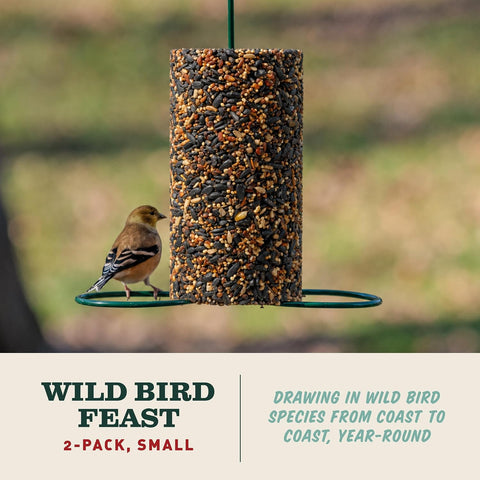 Mr. Bird WildBird Feast Cylinder, 2-Pack, 1 lb 15 oz