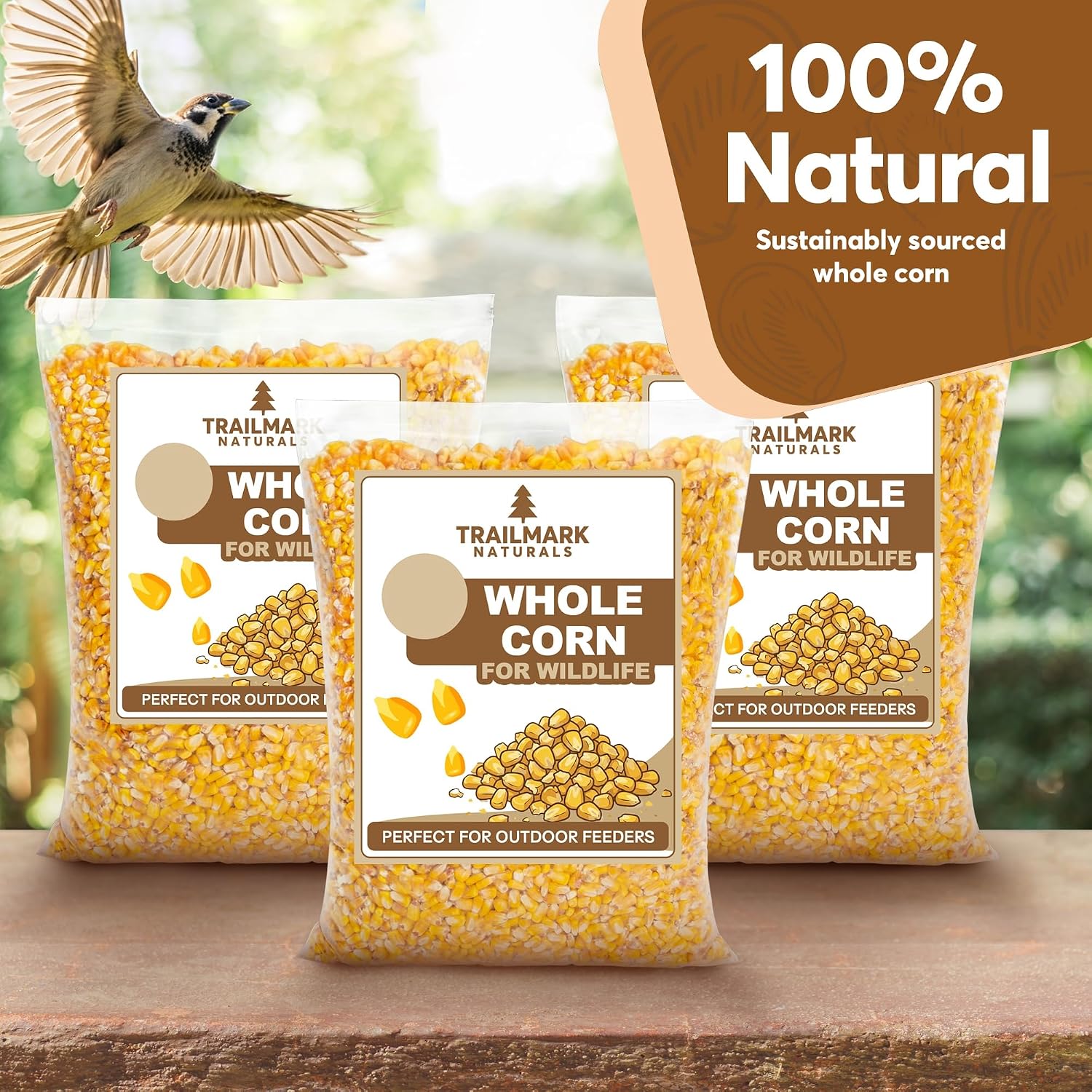 Whole Corn 10 LB– Premium Bird Seed & Wildlife Feed for Ducks, Deer, Squirrels, Chickens, and Turkeys – Grown in USA