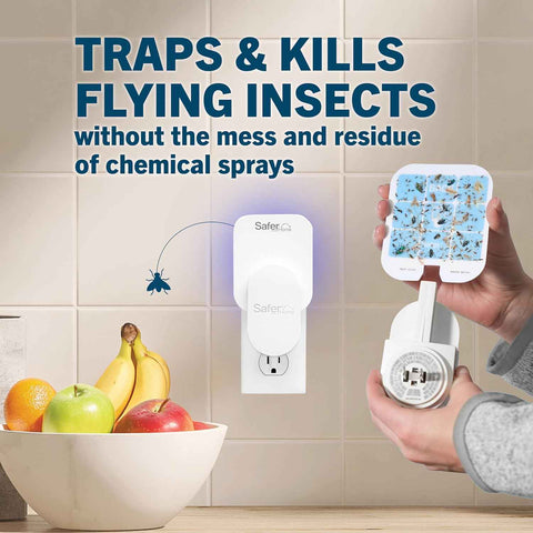 Safer Home Flying Insect Trap, Plug-In Fruit Fly Trap for Indoors, 1-Pack