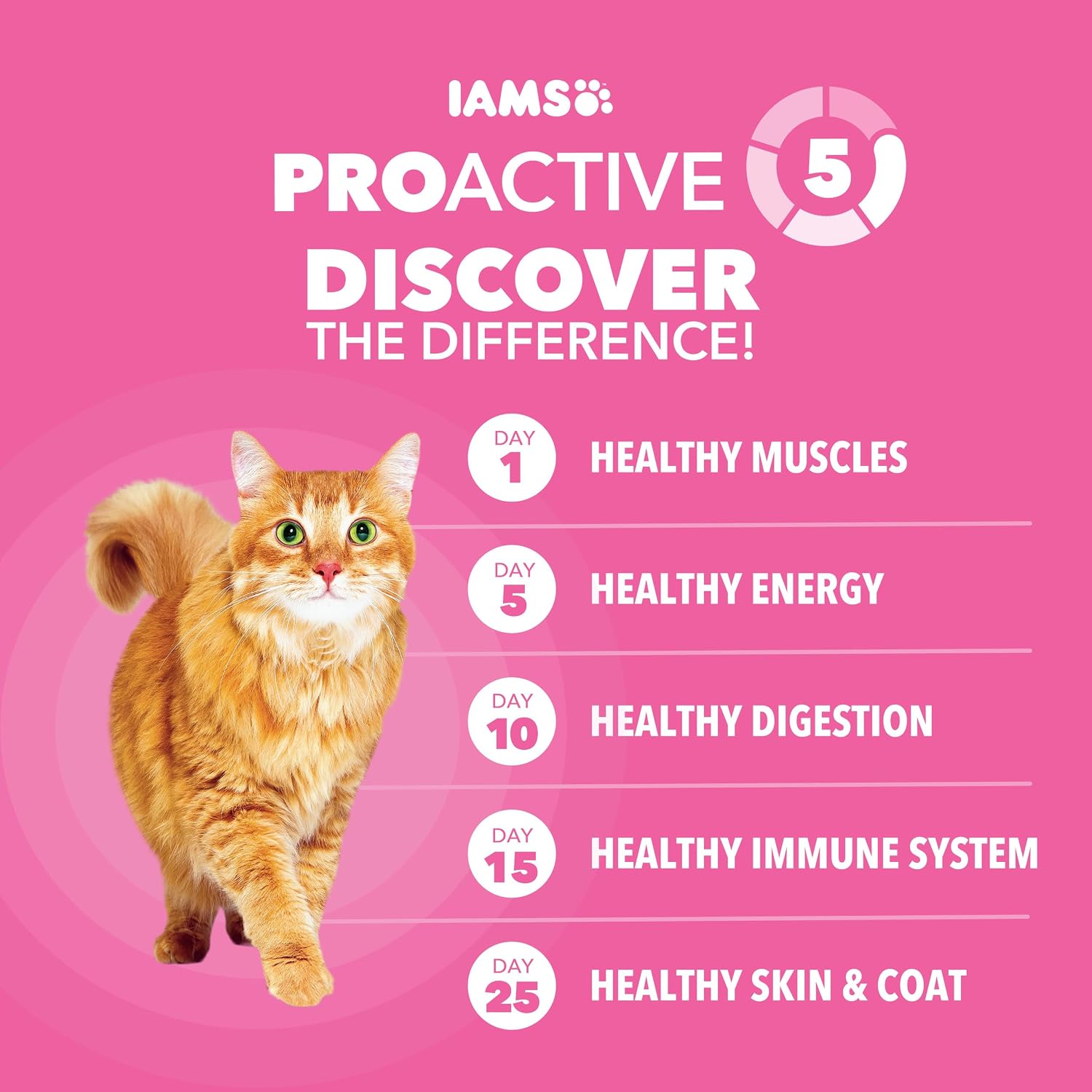 IAMS Proactive Health Sensitive Digestion Dry Cat Food, Turkey, 13 lb