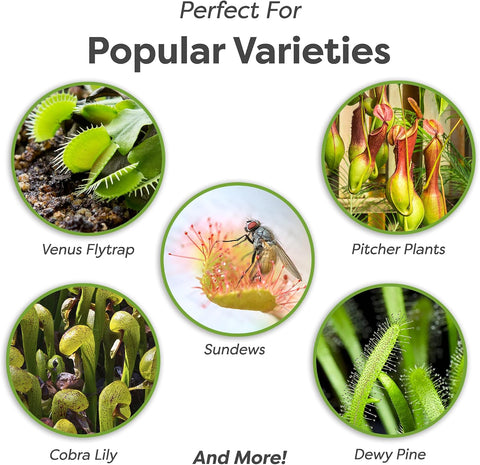 Perfect Plants Carnivorous Plant Soil, 1 qt, Venus Fly Trap Potting Mix