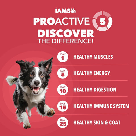 IAMS Proactive Health Minichunks Dry Dog Food, Lamb & Rice, 30 lb