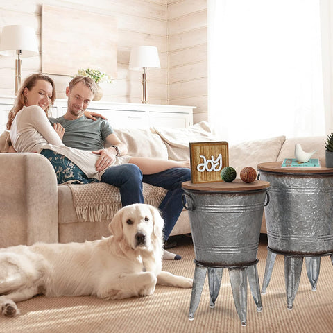 RUSTOWN Farmhouse Side Tables Set of 2, Galvanized Metal Bucket End Table