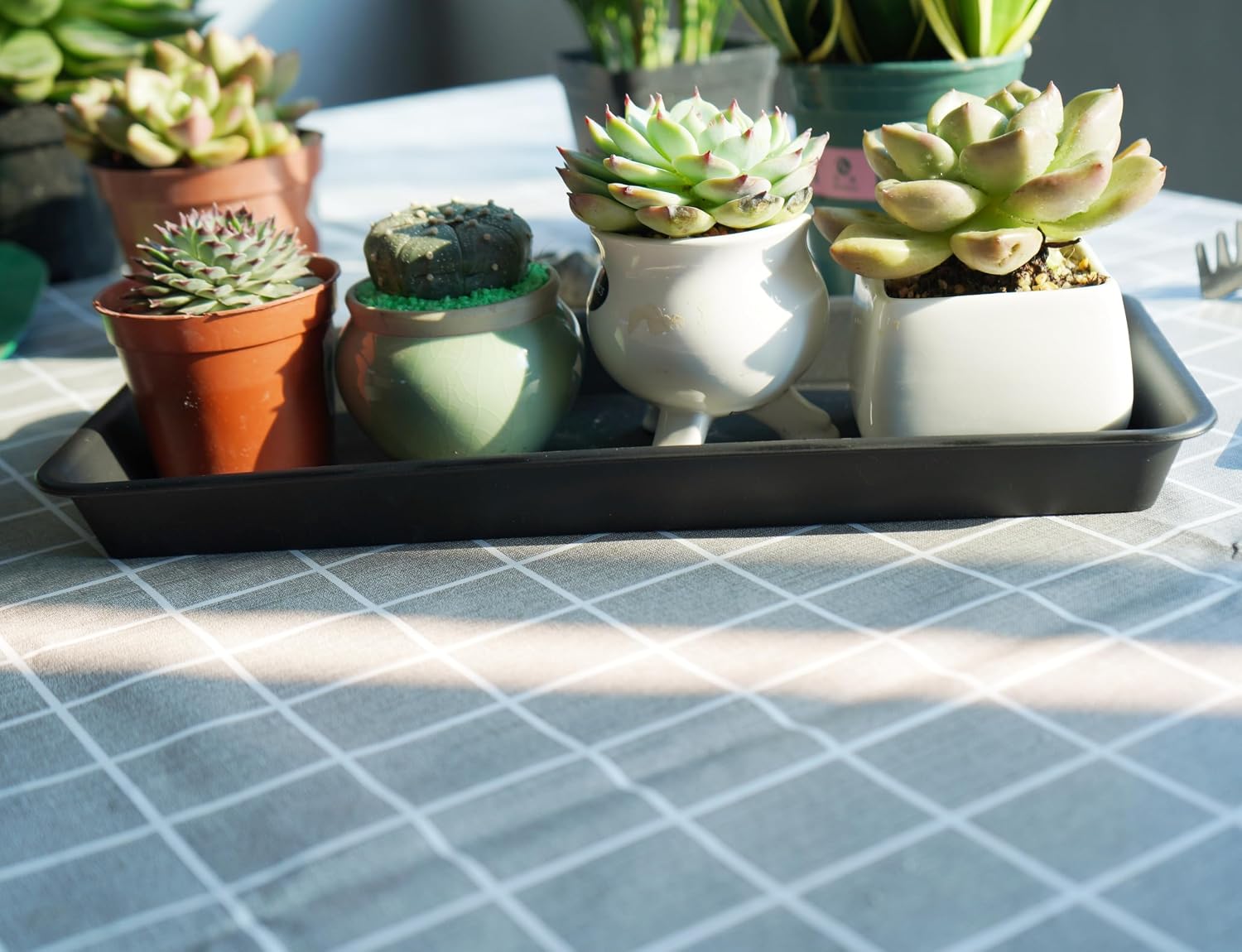 VUWEZ 6 Pack Plastic Plant Tray Saucer Rectangular, Heavy Duty Planter Saucers for Indoors, Plant Water Drip Trays for Flower Pot Planter, Windowsill Pot Tray, Seed Starting Growing Trays