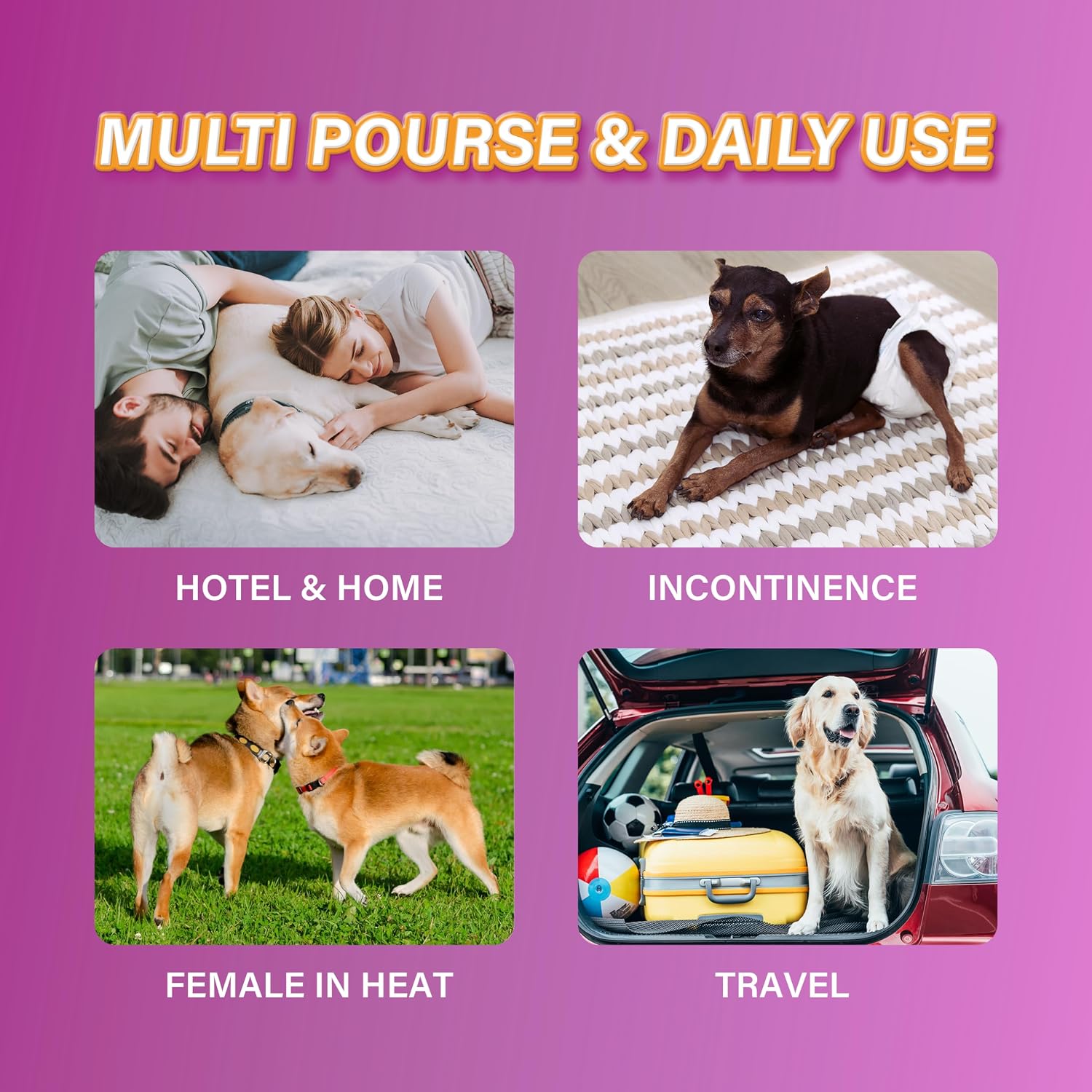 HONEY CARE All-Absorb Disposable Dog Diapers XL Size, Improved Bigger Size, 12 Count, Super Absorbent, Breathable, Wetness Indicator