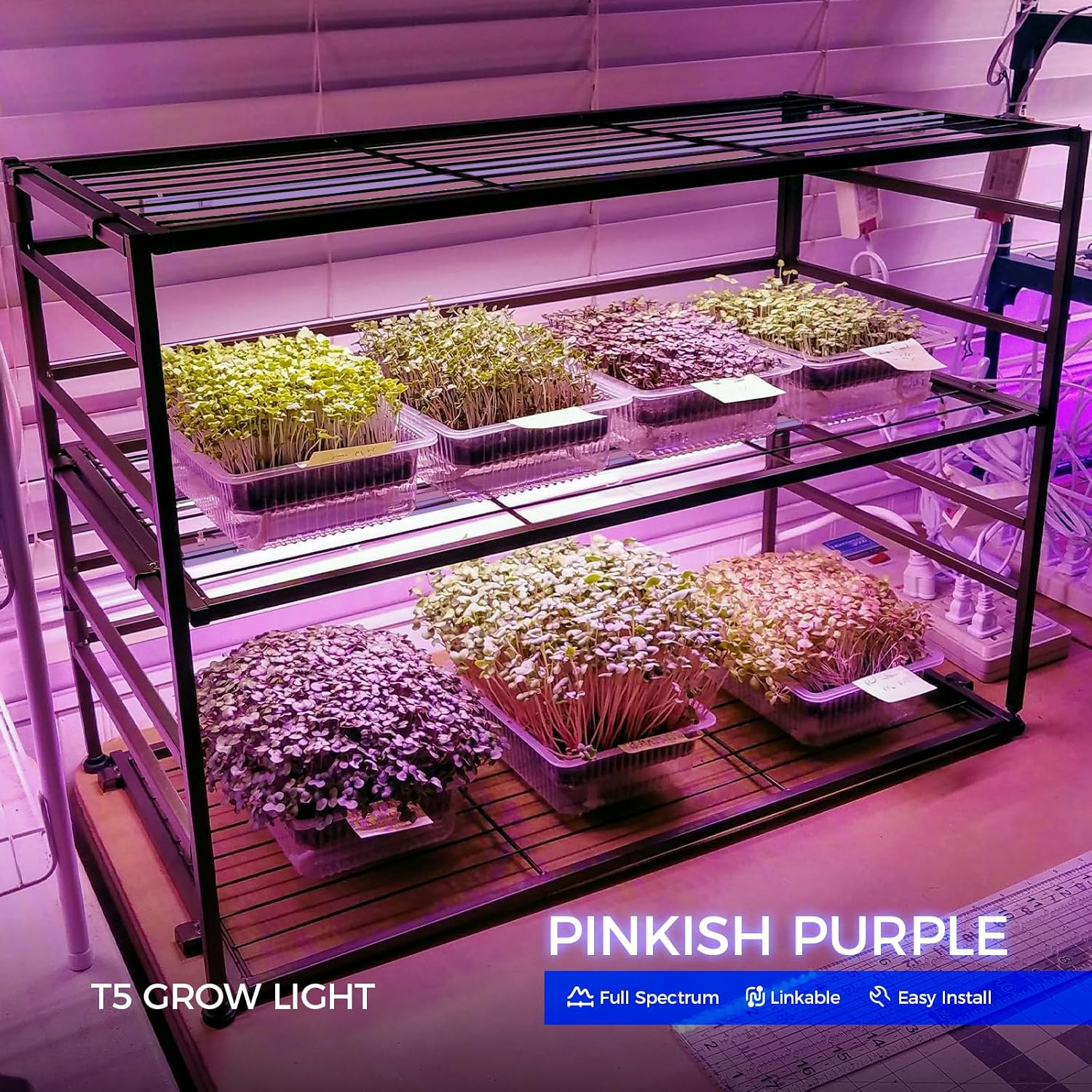 Barrina T5 Grow Lights for Indoor Growth, 4FT Plant Lights, Pink, 8 Packs