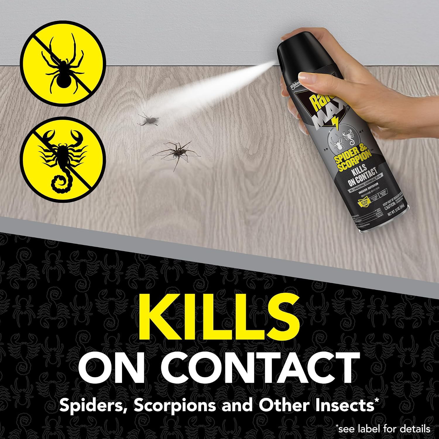 Raid MAX Spider & Scorpion Insect Killer Spray, 12 oz