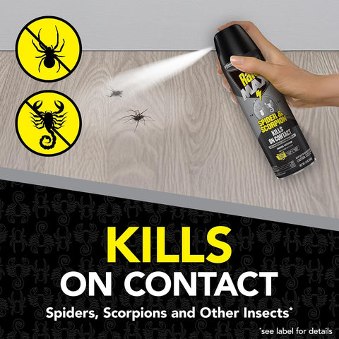 Raid MAX Spider & Scorpion Insect Killer Spray, 12 oz