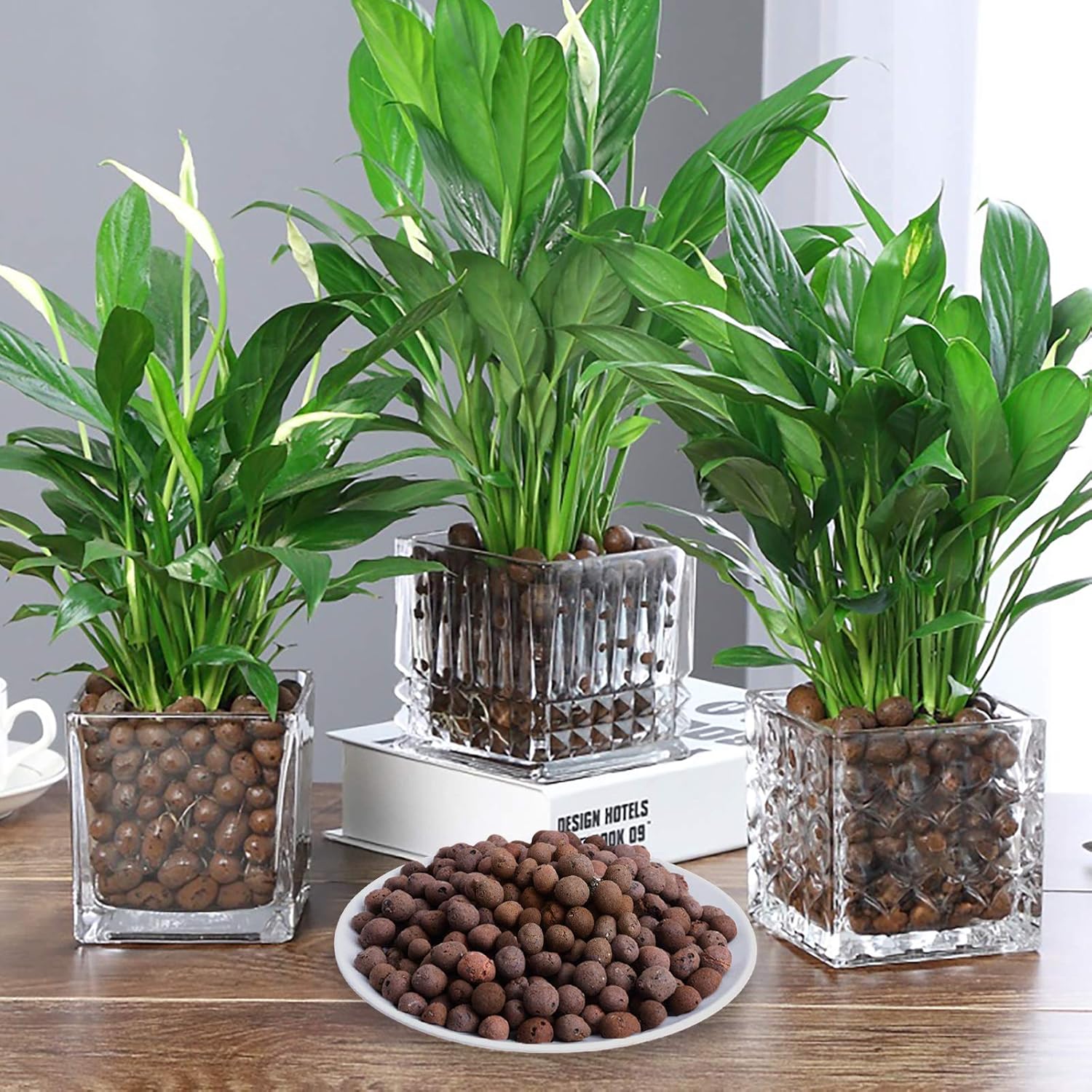 10LBS Leca Expanded Clay Pebbles Hydroponics Supplies for Indoor Garden Plants (10LBS)