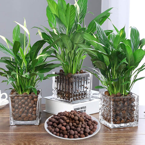 10LBS Leca Expanded Clay Pebbles Hydroponics Supplies for Indoor Garden Plants (10LBS)