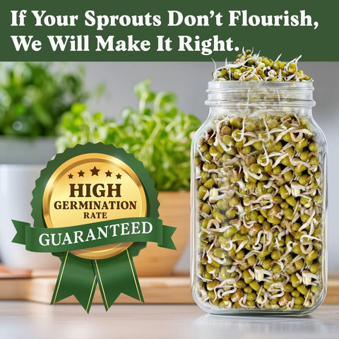 Seedboy Organic Non-GMO Sprouting Seeds (Mung Bean)