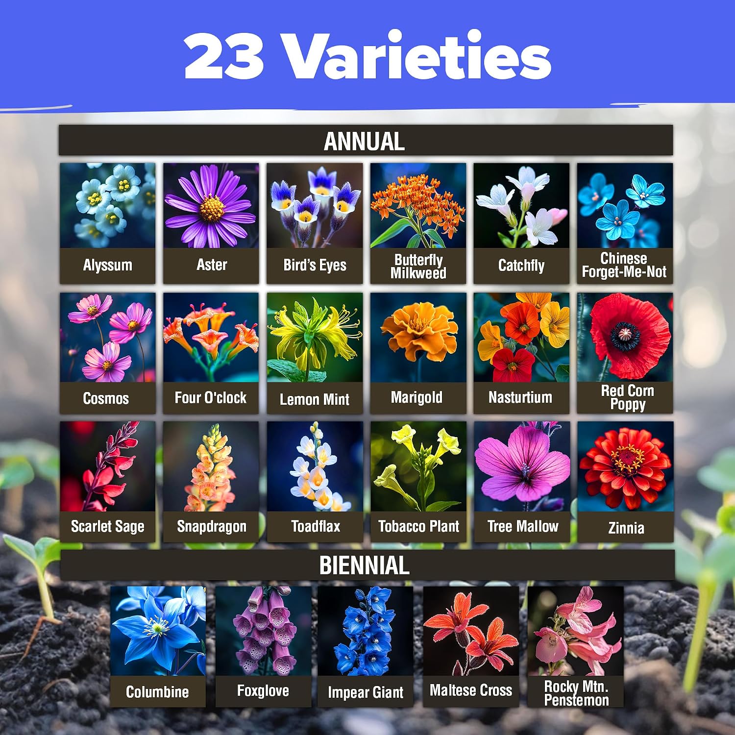 HOME GROWN Premium Wildflower Seeds Bulk Mix | 134,000+ Non-GMO USA Native Flower Seed for Planting Outdoors | 23 Perennial & Annual Varieties for Butterfly Garden | 3 oz
