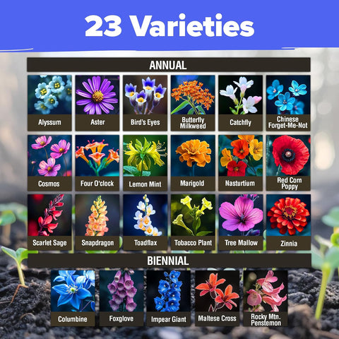 HOME GROWN Premium Wildflower Seeds Bulk Mix | 134,000+ Non-GMO USA Native Flower Seed for Planting Outdoors | 23 Perennial & Annual Varieties for Butterfly Garden | 3 oz