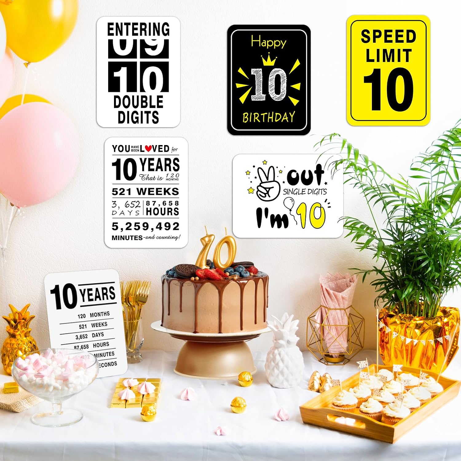 WERNNSAI 10th Birthday Party Decorations, 9PCS Wall Funny Signs, Teenagers