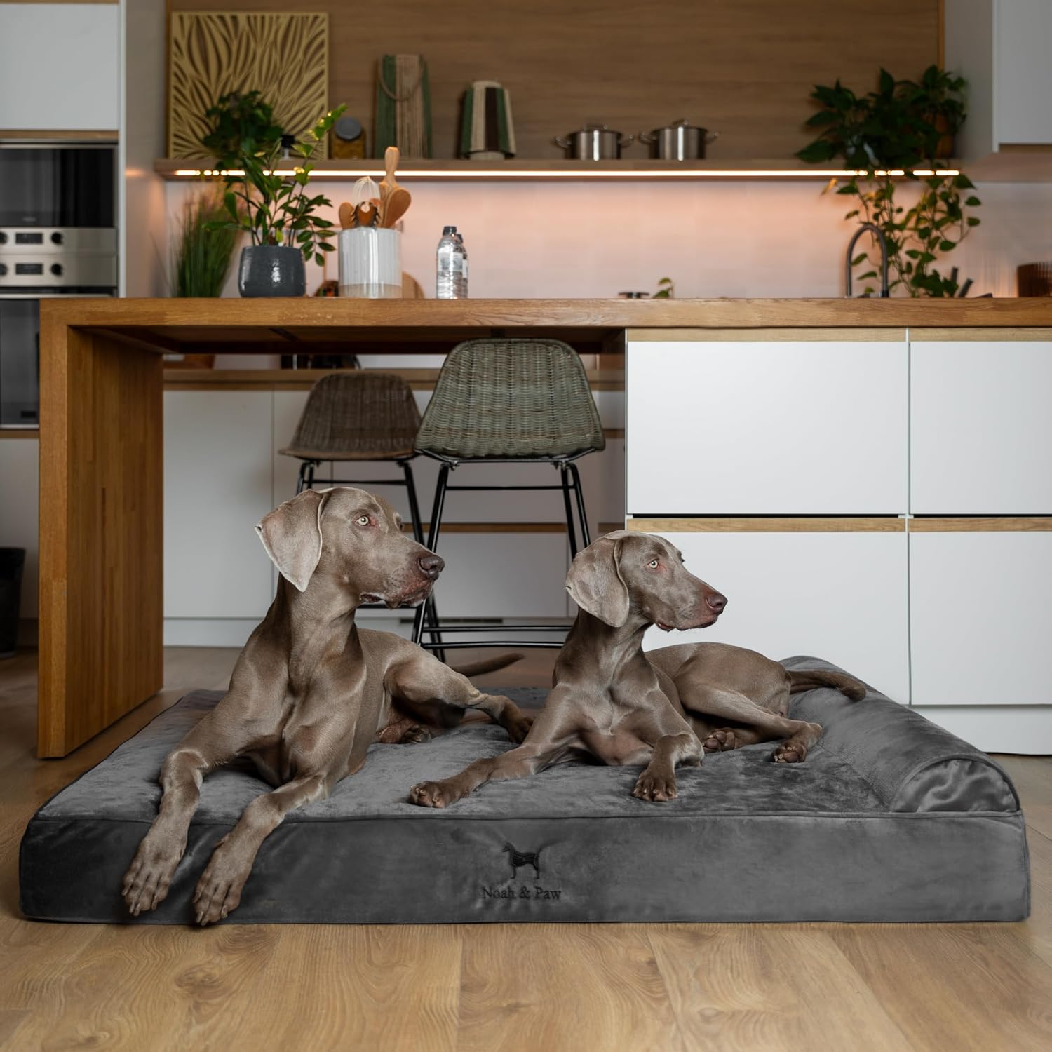 NOAH & PAW Giant Dog Bed XXL 55x45x9.5 Inch, Orthopedic Dog Beds, Eggshell Memory Foam Infused with Cooling Gel, Water Resistant, Machine Washable, Includes Inner Cover