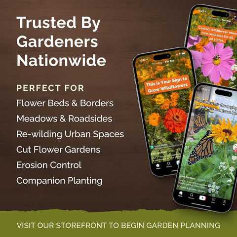 Eden Brothers Deer Resistant Wildflower Mixed Seeds for Planting, 1 lb