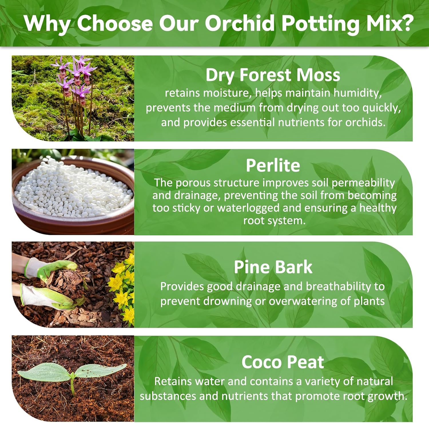 Riare 6QT Orchid Potting Mix for Repotting, Pre-Mixed & Ready-to-Use
